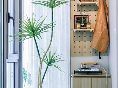 大华·公园柏翠