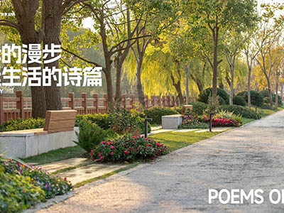 保利光合上城楼盘相册欣赏