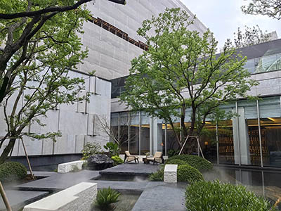张江·金茂府楼盘相册欣赏